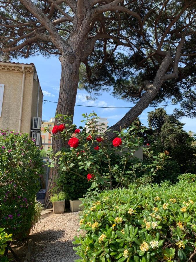 Hotel Beau Rivage Le Lavandou Zewnętrze zdjęcie